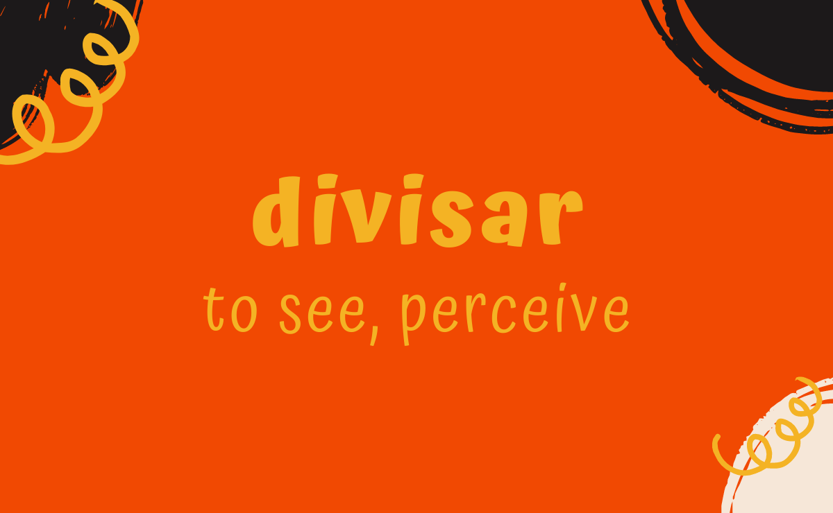 Divisar conjugation - to see