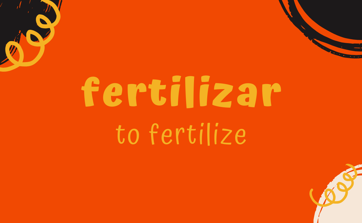 Fertilizar conjugation - to fertilize